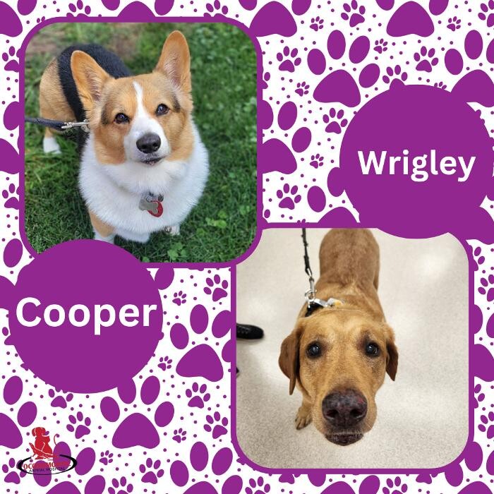 Images Oconomowoc Animal Hospital
