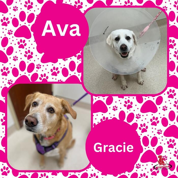 Images Oconomowoc Animal Hospital