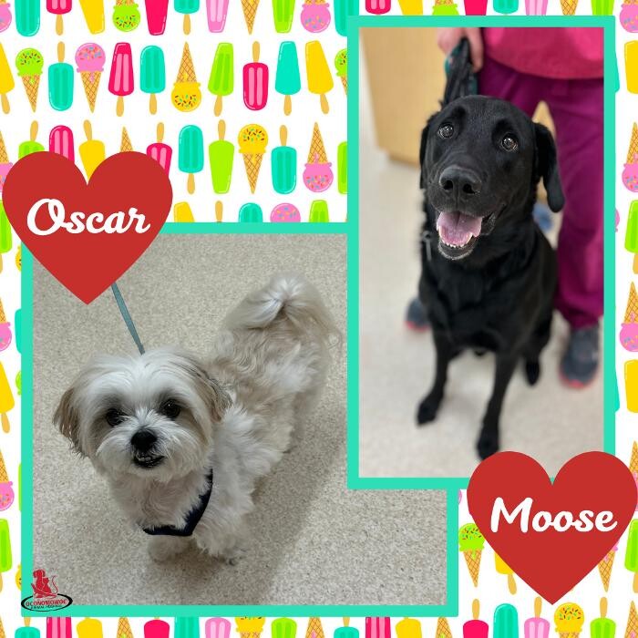 Images Oconomowoc Animal Hospital