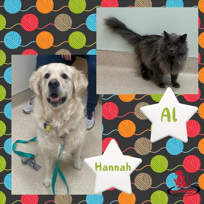 Images Oconomowoc Animal Hospital