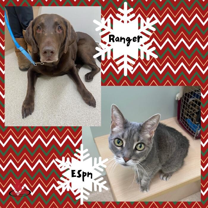 Images Oconomowoc Animal Hospital