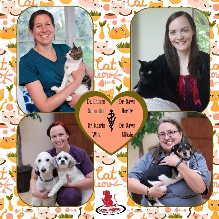 Images Oconomowoc Animal Hospital