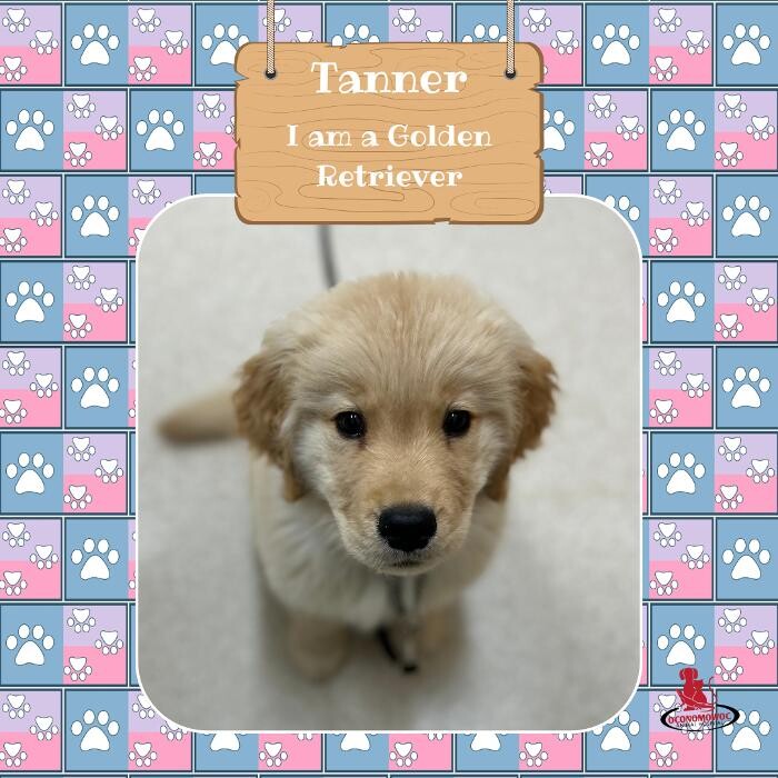 Images Oconomowoc Animal Hospital
