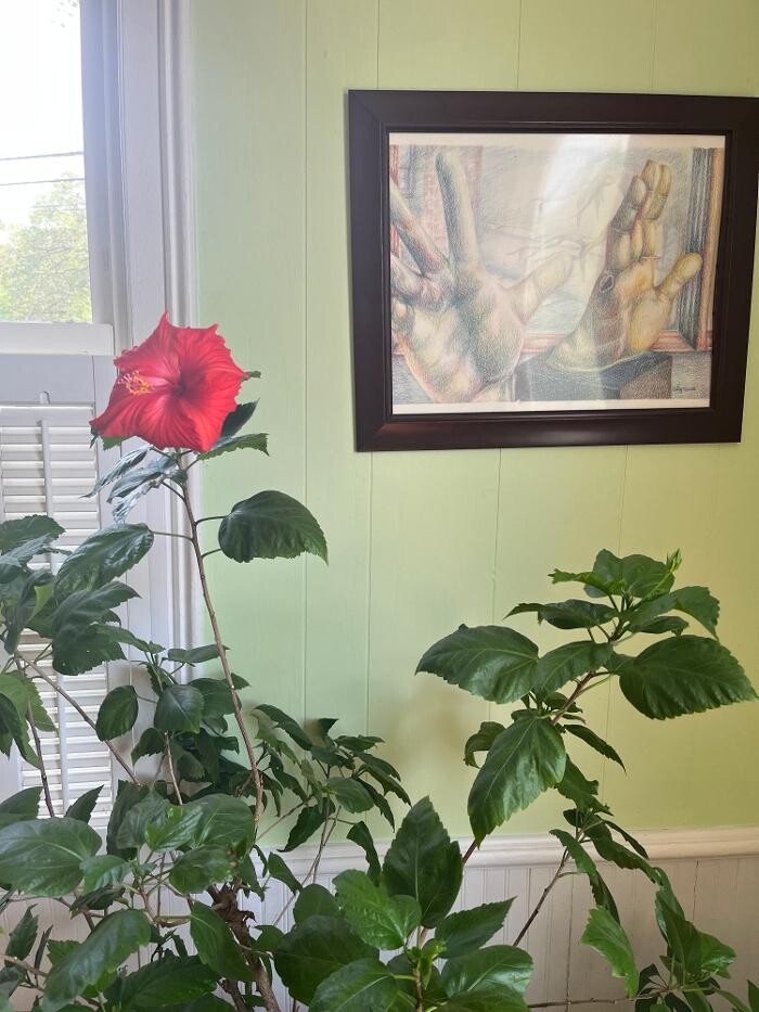 Images Summerville Flowertown Chiropractic