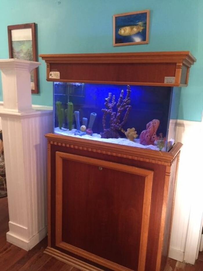 Images Summerville Flowertown Chiropractic