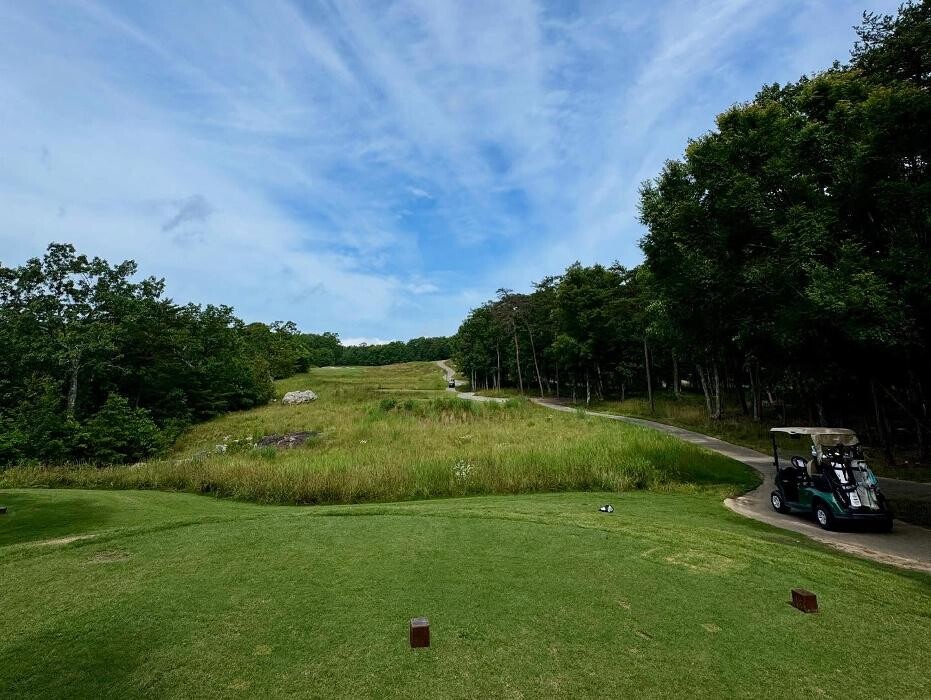 Images Estero Country Club