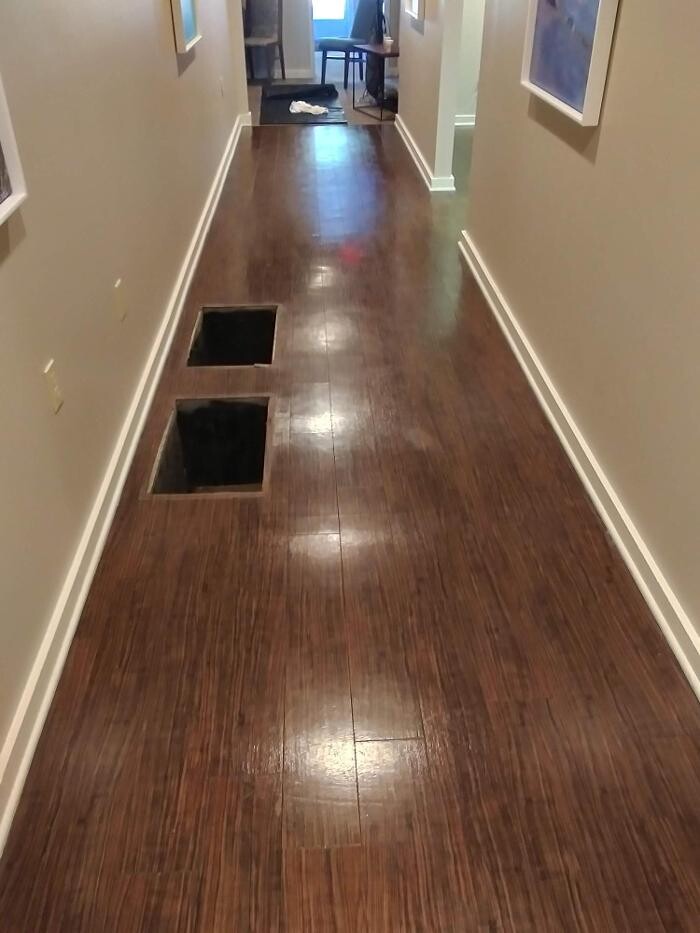 Images Pro Care Carpet and Floor Cleaning