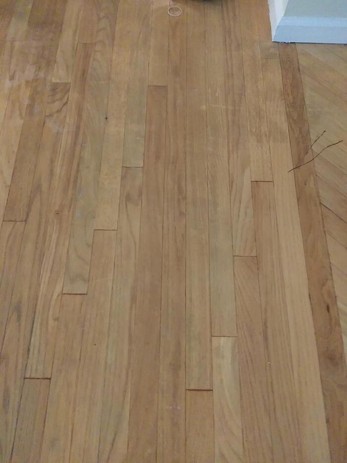 Images Pro Care Carpet and Floor Cleaning