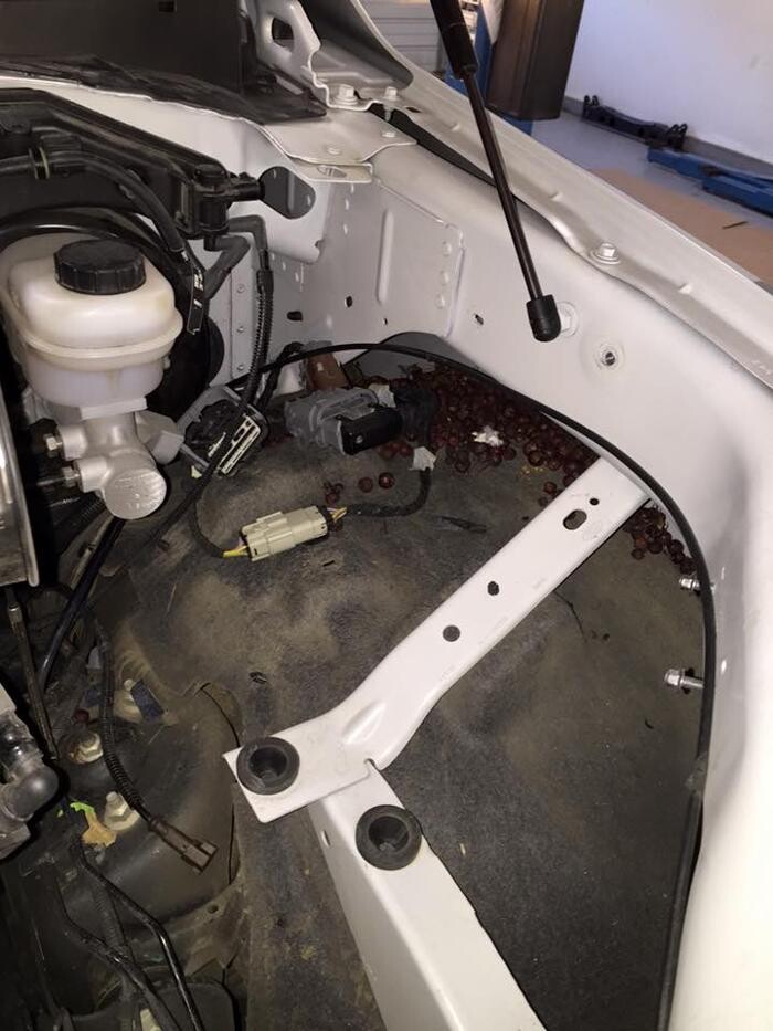 Images Candy Apple Custom Collision II