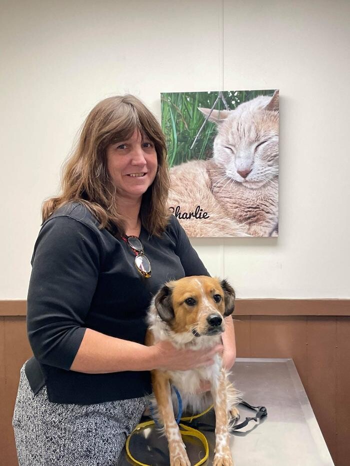 Images Haskell Valley Veterinary Clinic