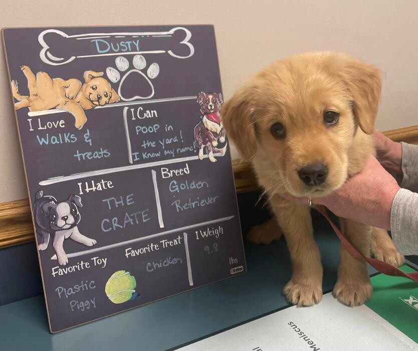 Images Emmaus Animal Hospital