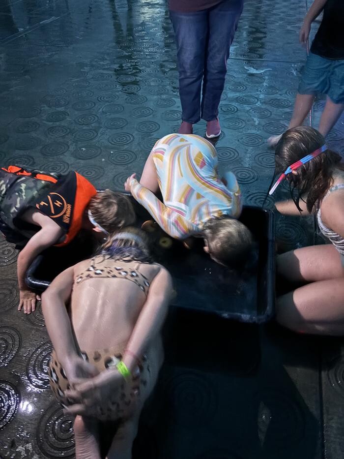 Images Carson Valley Swim Center