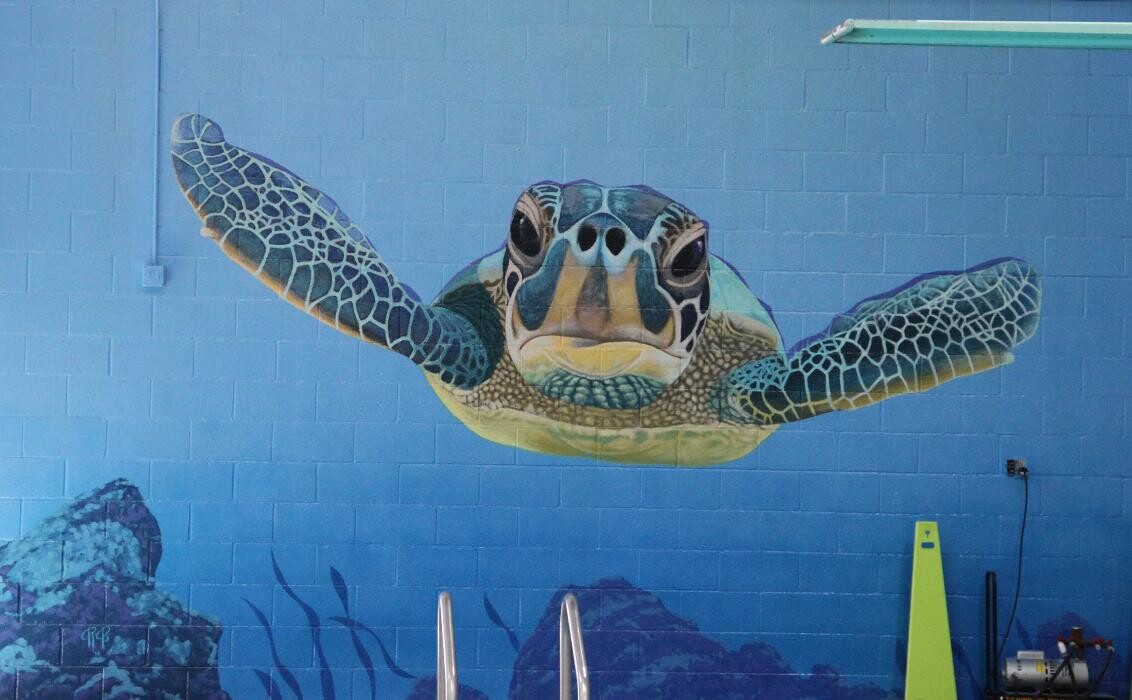 Images Carson Valley Swim Center