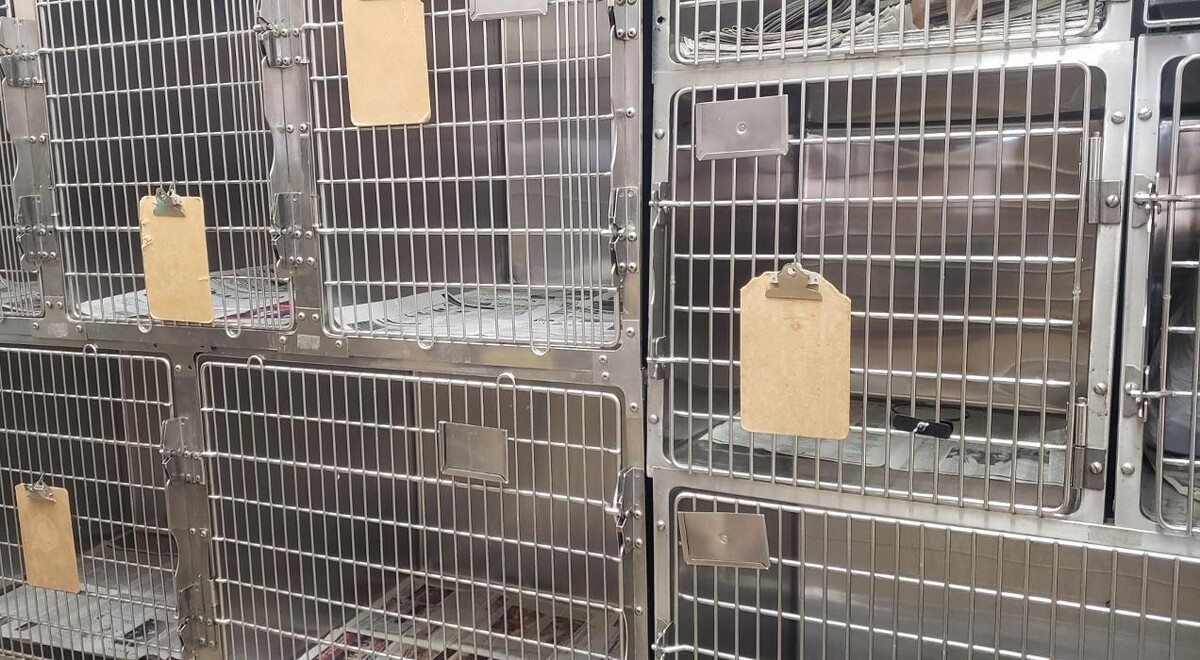 Images South 71 Veterinary Clinic