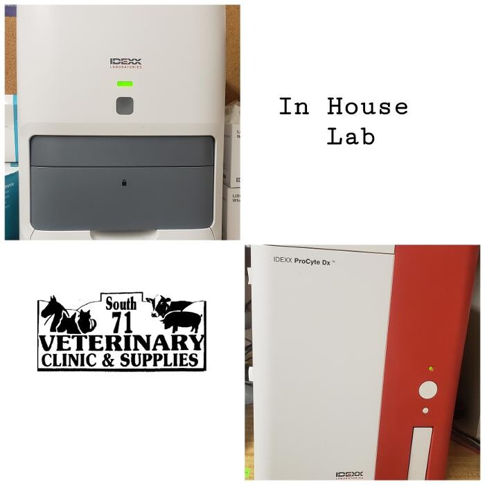 Images South 71 Veterinary Clinic