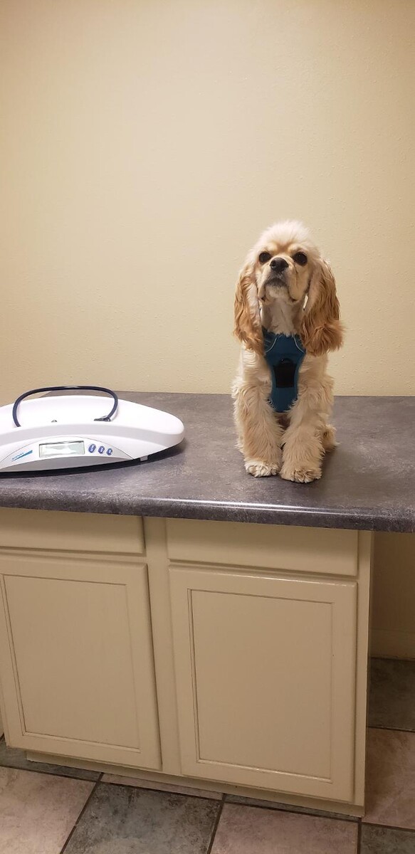 Images South 71 Veterinary Clinic