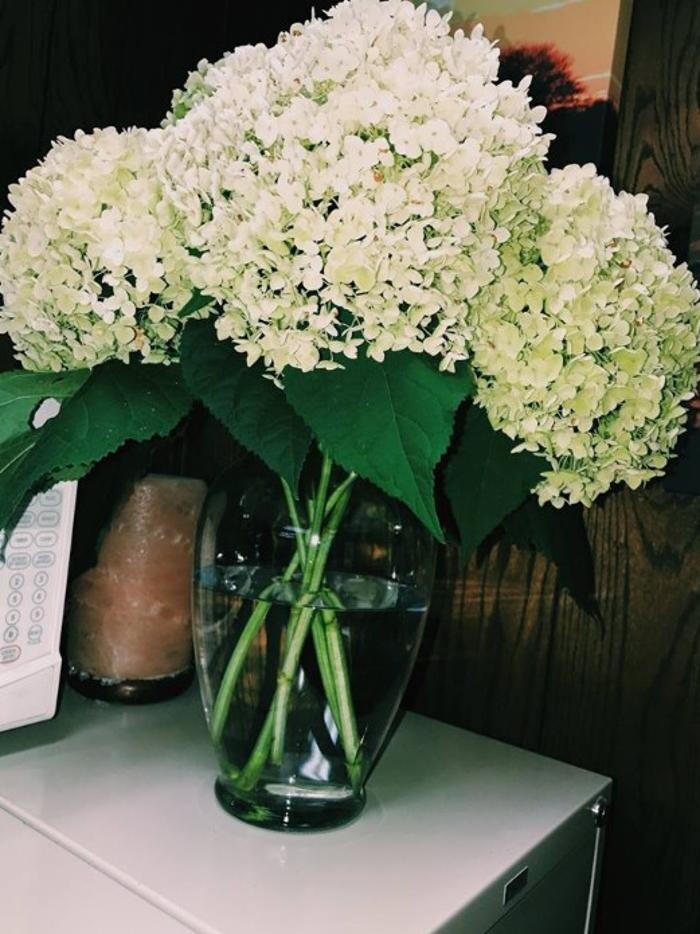 Images LaSalle Body & Fender, Inc.