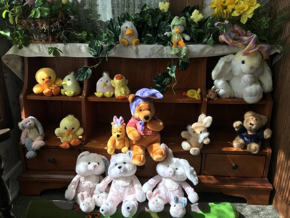 Images Gillett Dental Care