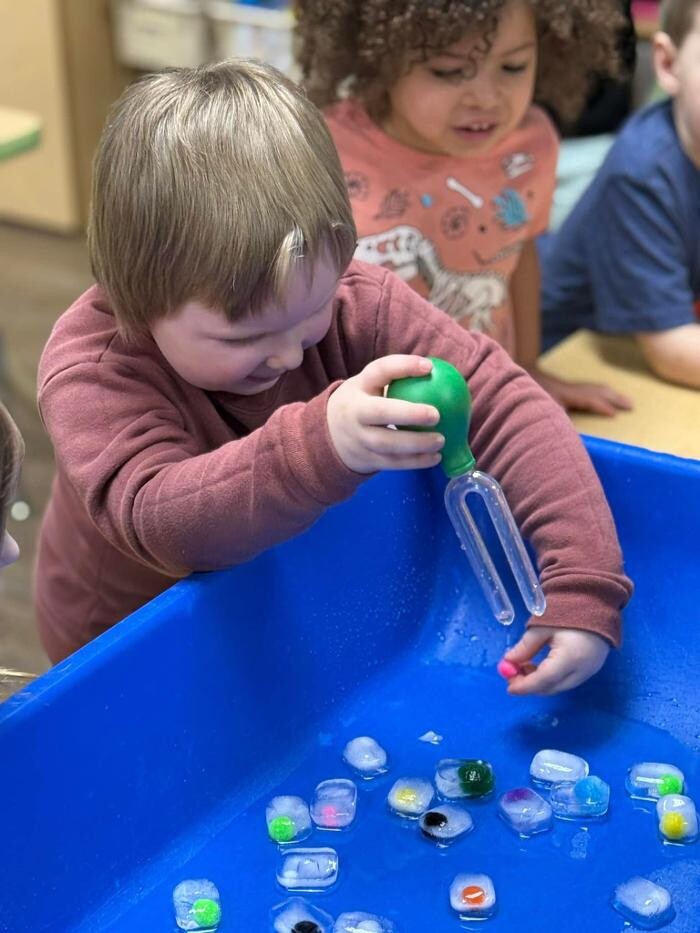 Images A Leap In Learning