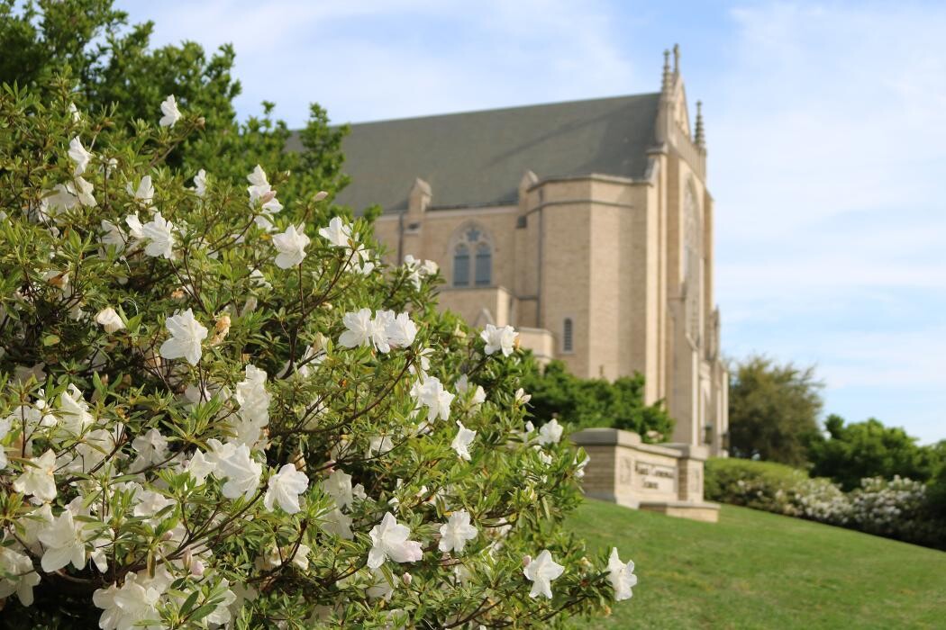 Images St. Mark's Cathedral School