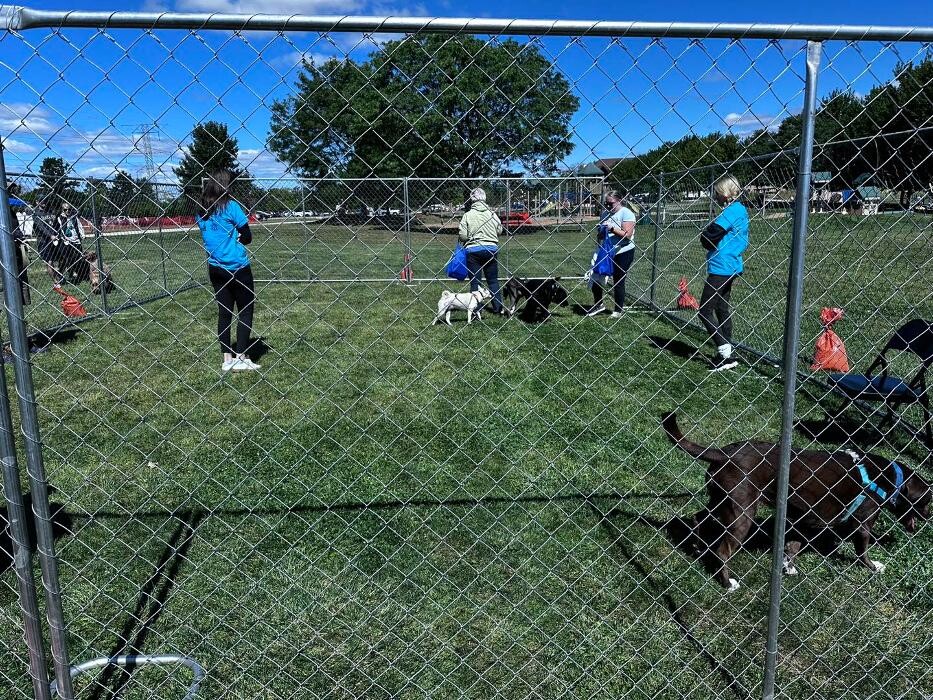 Images Spa Paw & Tail Premier Pet Resort