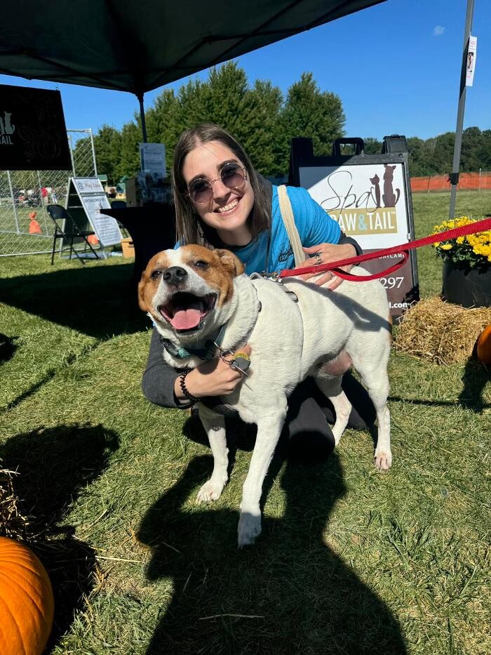 Images Spa Paw & Tail Premier Pet Resort