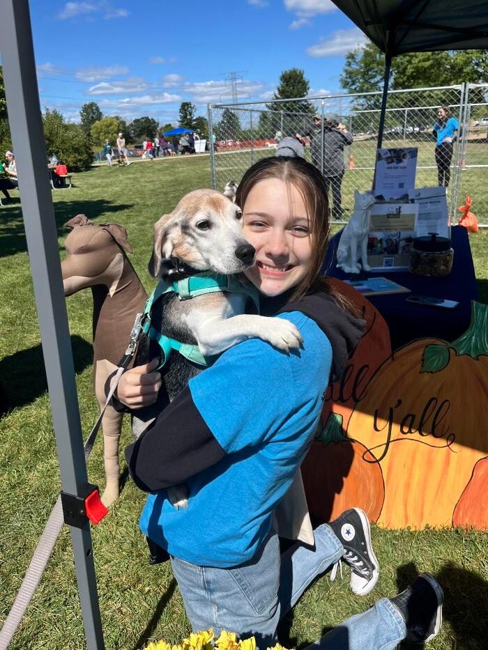 Images Spa Paw & Tail Premier Pet Resort