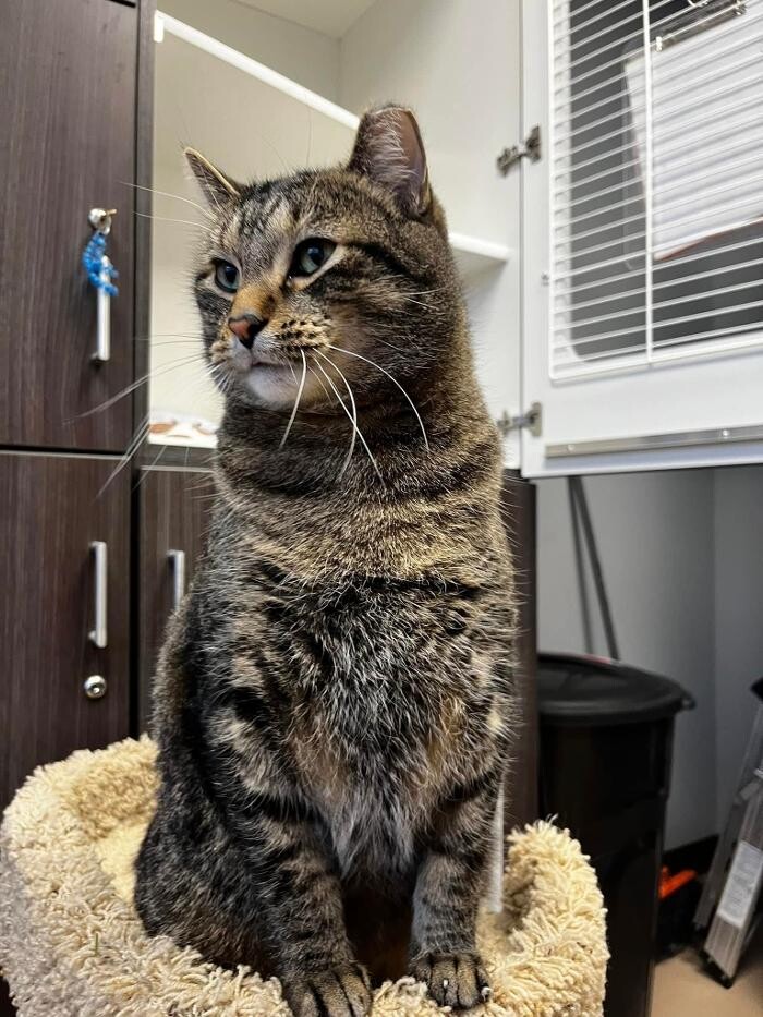 Images Spa Paw & Tail Premier Pet Resort