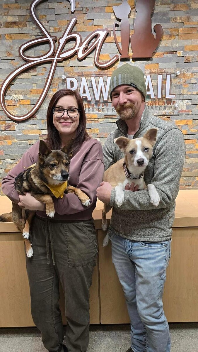 Images Spa Paw & Tail Premier Pet Resort