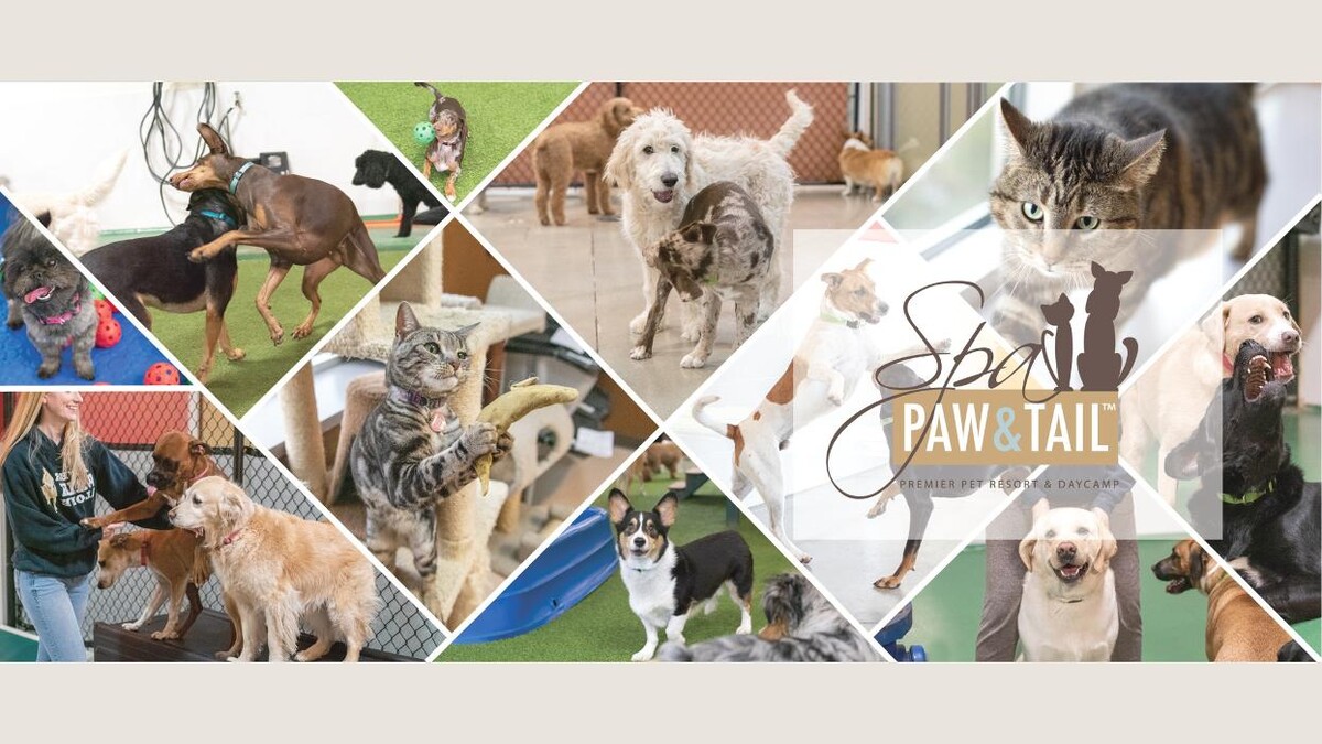 Images Spa Paw & Tail Premier Pet Resort