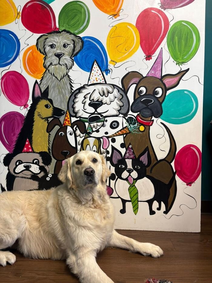 Images Spa Paw & Tail Premier Pet Resort