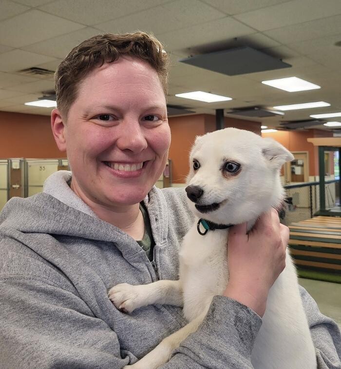 Images Spa Paw & Tail Premier Pet Resort