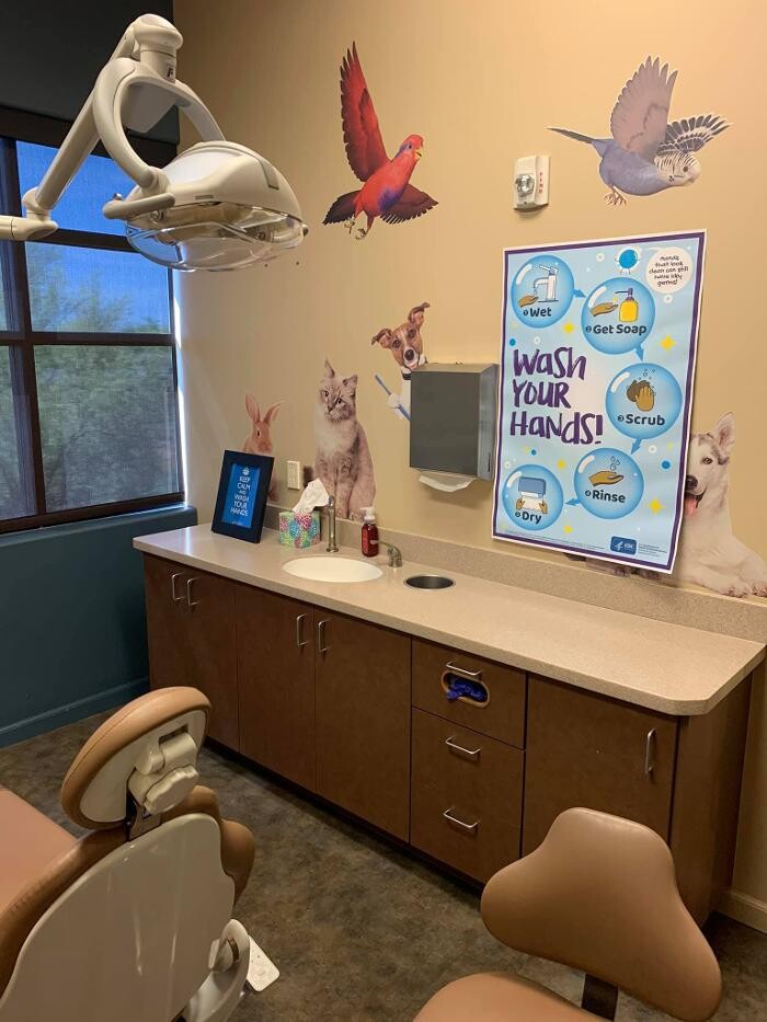 Images Pleasant Pediatric Dentistry