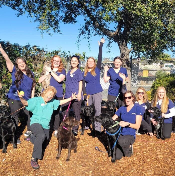 Images Acorn Hills Animal Center / Amador Veterinary Emergency Clinic