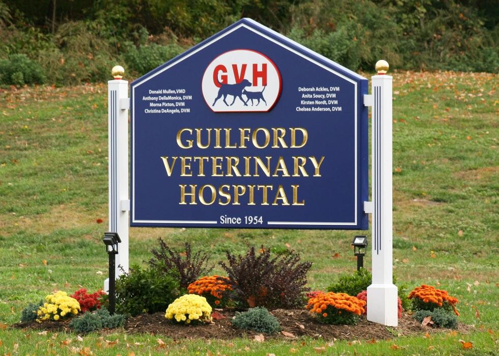 Images Guilford Veterinary Hospital