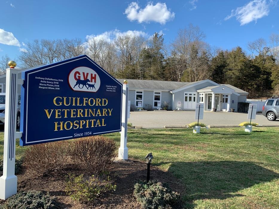 Images Guilford Veterinary Hospital