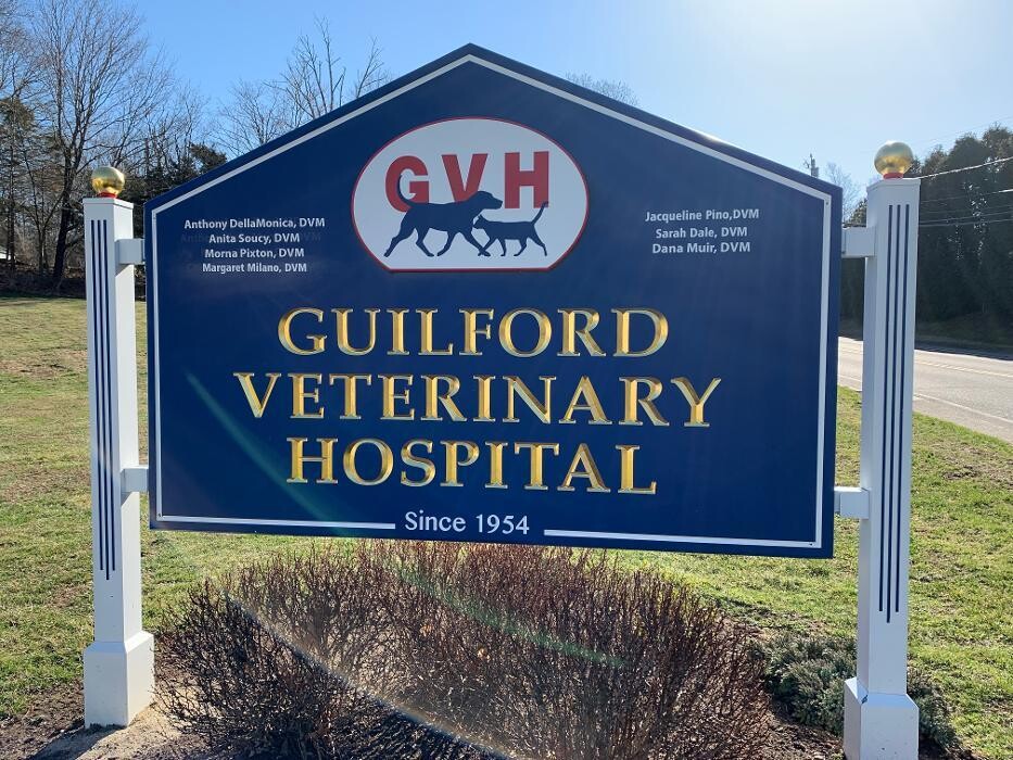 Images Guilford Veterinary Hospital