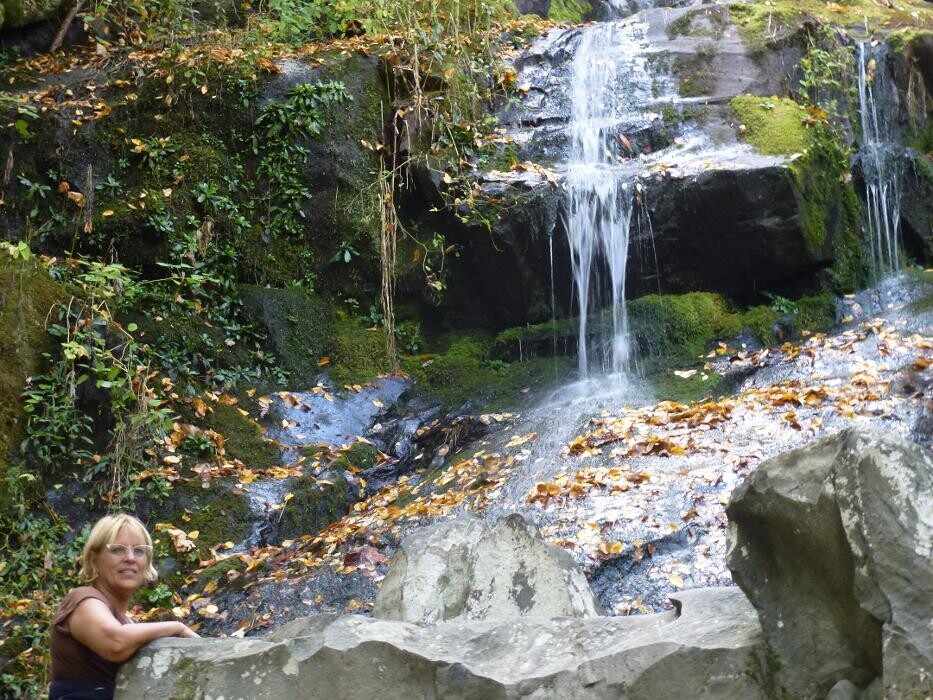 Images Kaiser, Shepherd & Nakon, P.C.