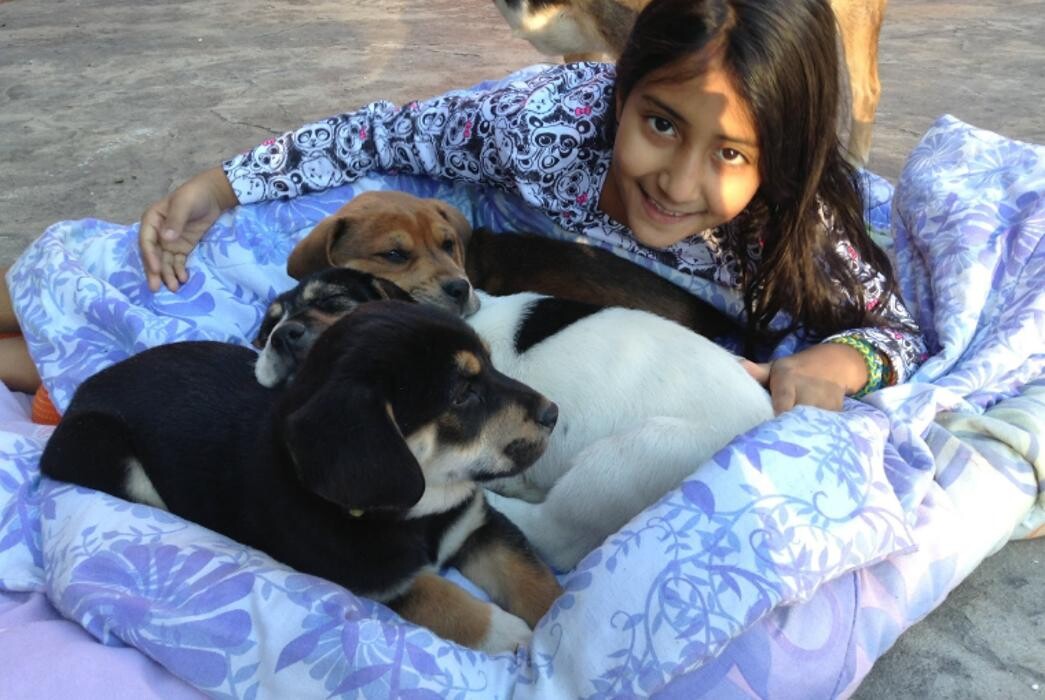 Images The Children's Group PC