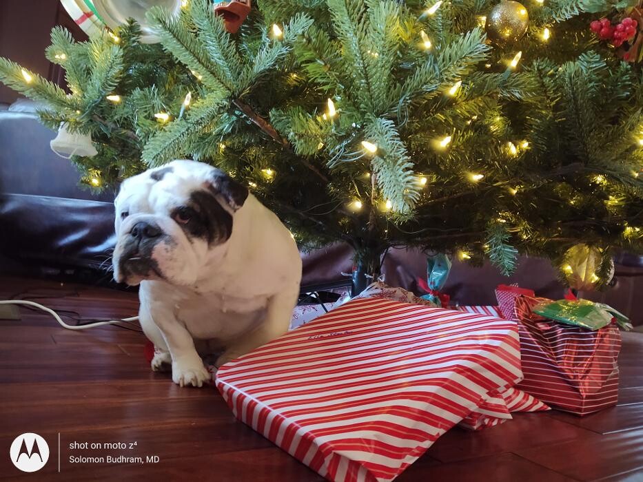 Images The Children's Group PC