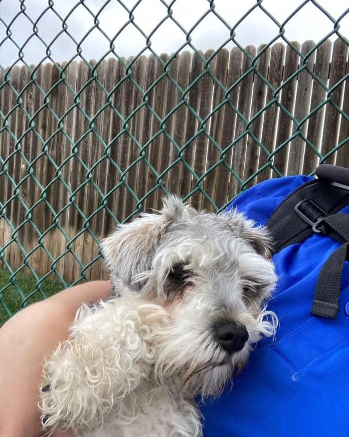 Images Willow Creek Kennels