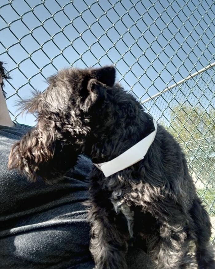 Images Willow Creek Kennels
