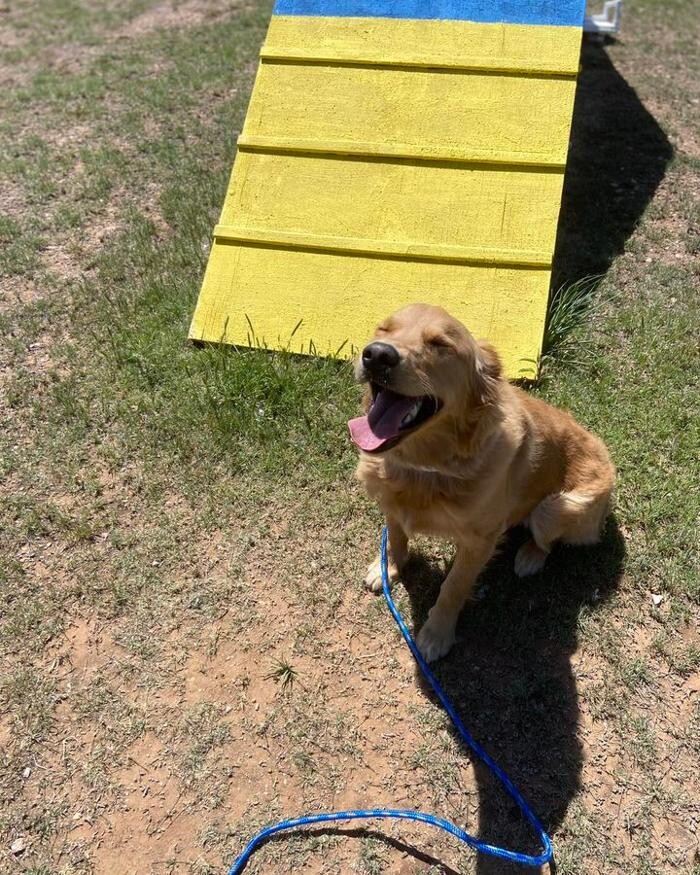 Images Willow Creek Kennels