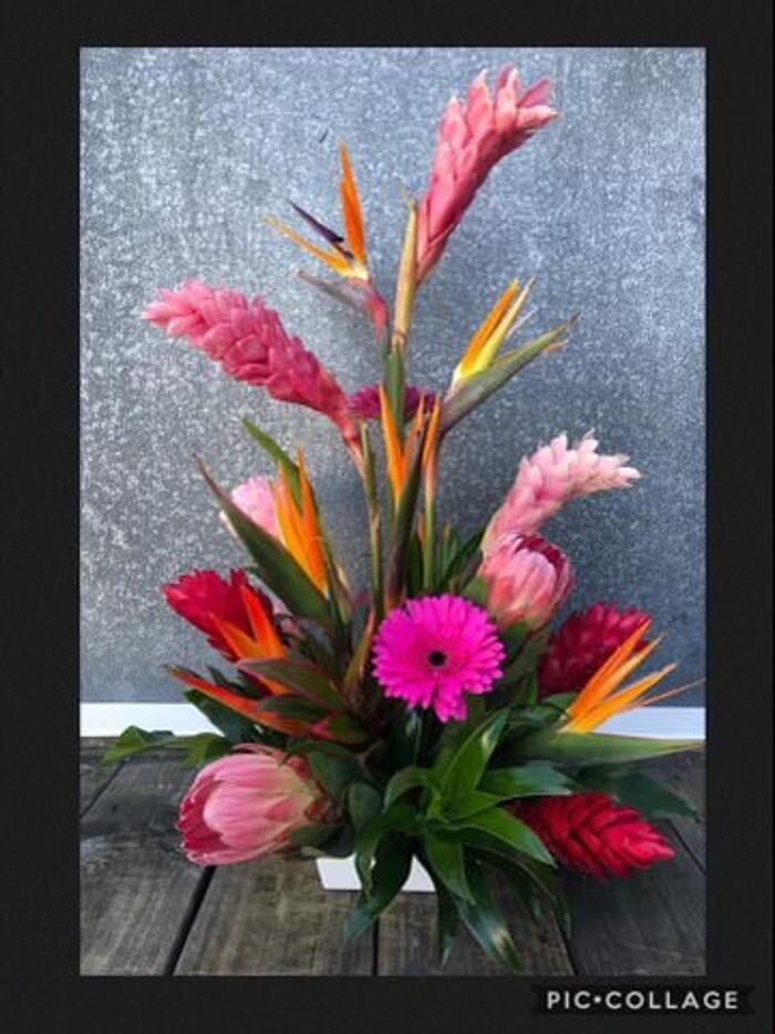 Images Broad Brook Gardens