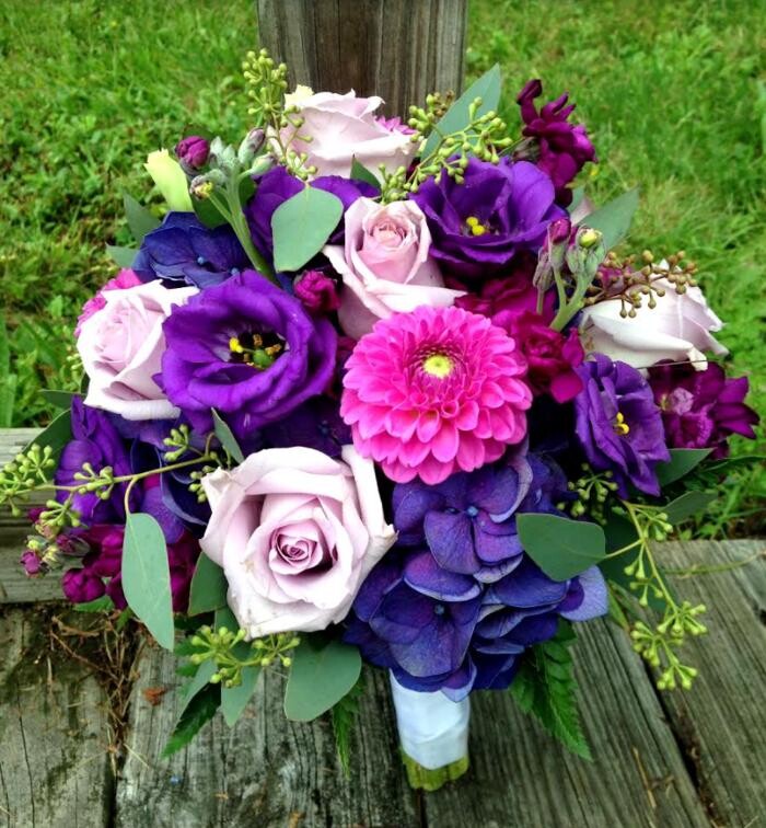 Images Broad Brook Gardens