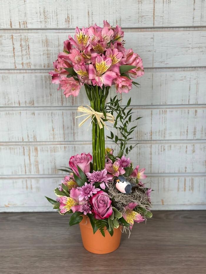 Images Broad Brook Gardens