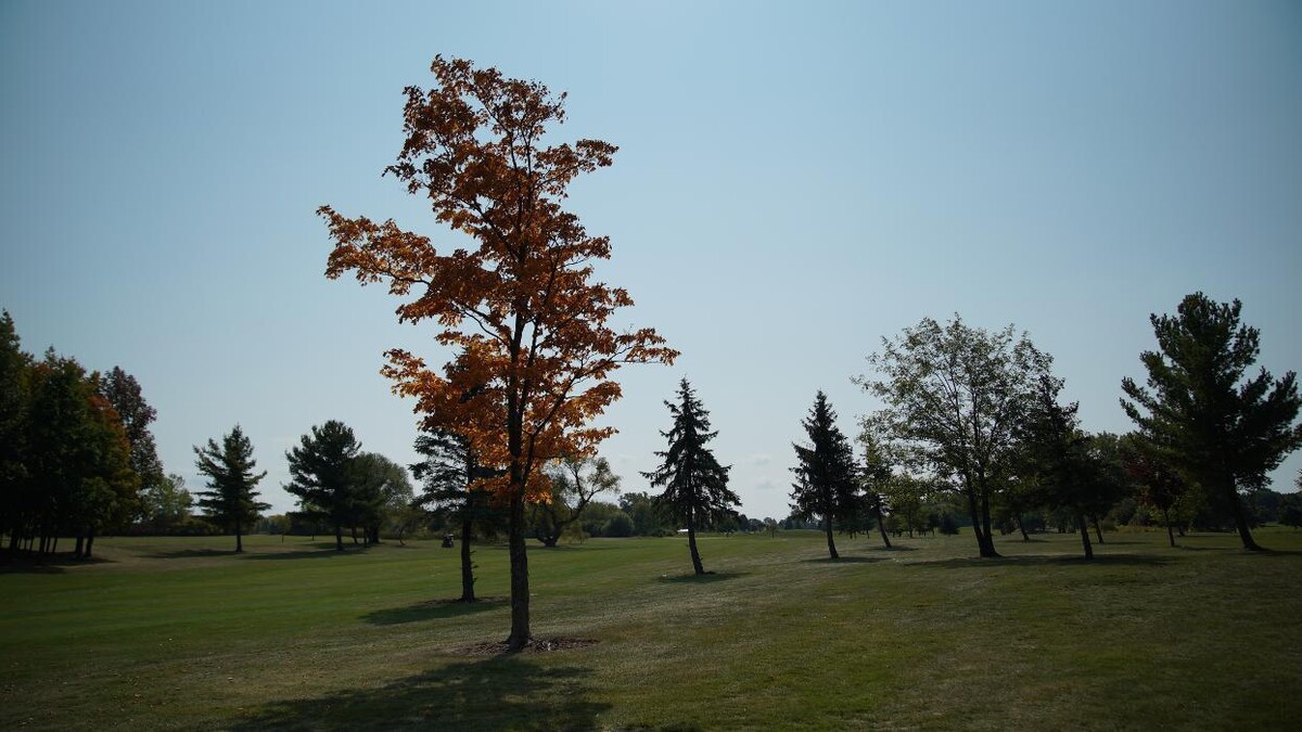 Images Parkview Fairways Golf Course