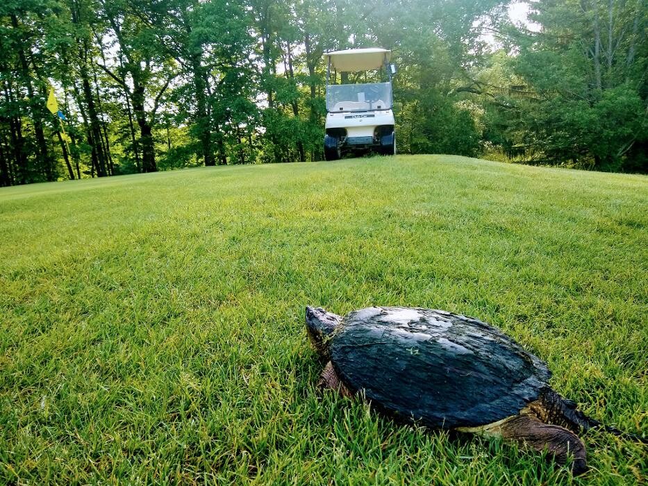 Images Parkview Fairways Golf Course