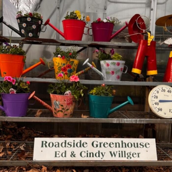 Images Toboggan Run Dental