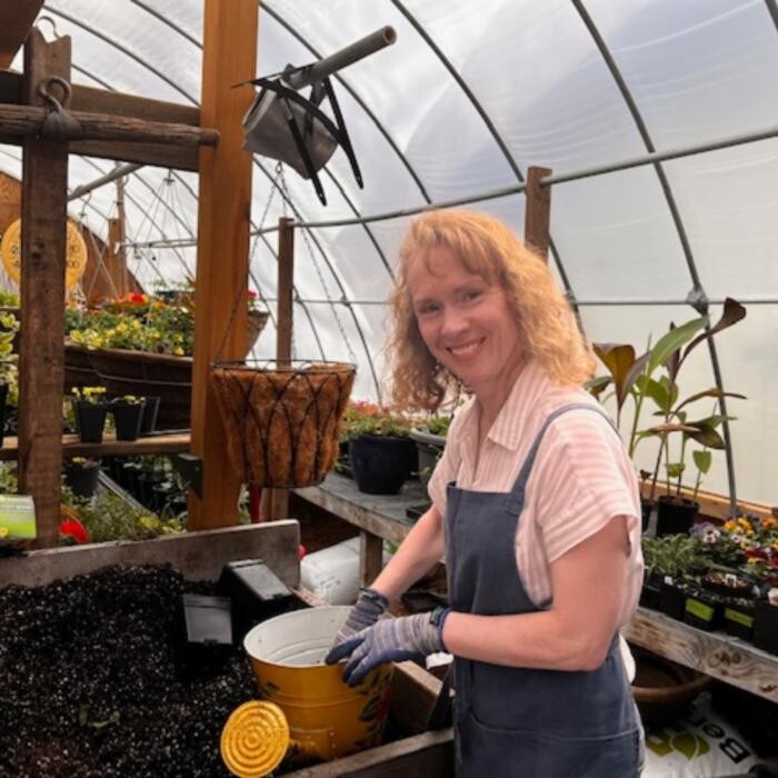 Images Toboggan Run Dental